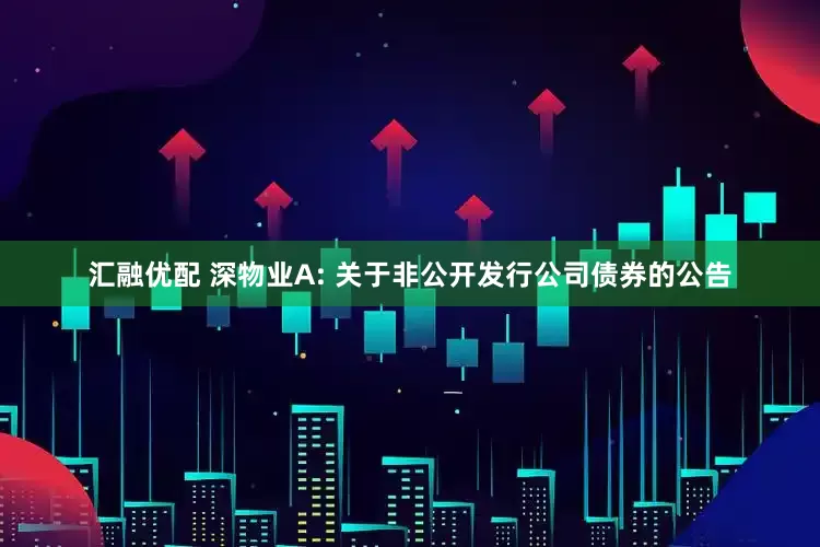 汇融优配 深物业A: 关于非公开发行公司债券的公告