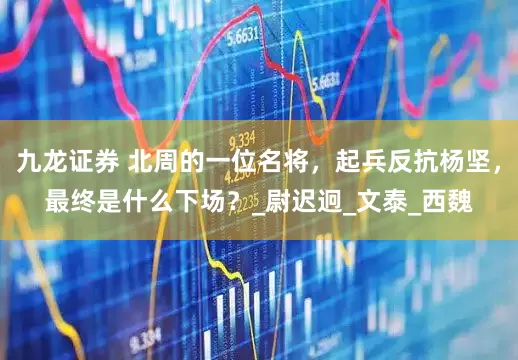 九龙证券 北周的一位名将，起兵反抗杨坚，最终是什么下场？_尉迟迥_文泰_西魏